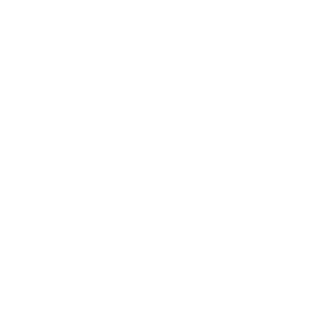 AMP PageVersion